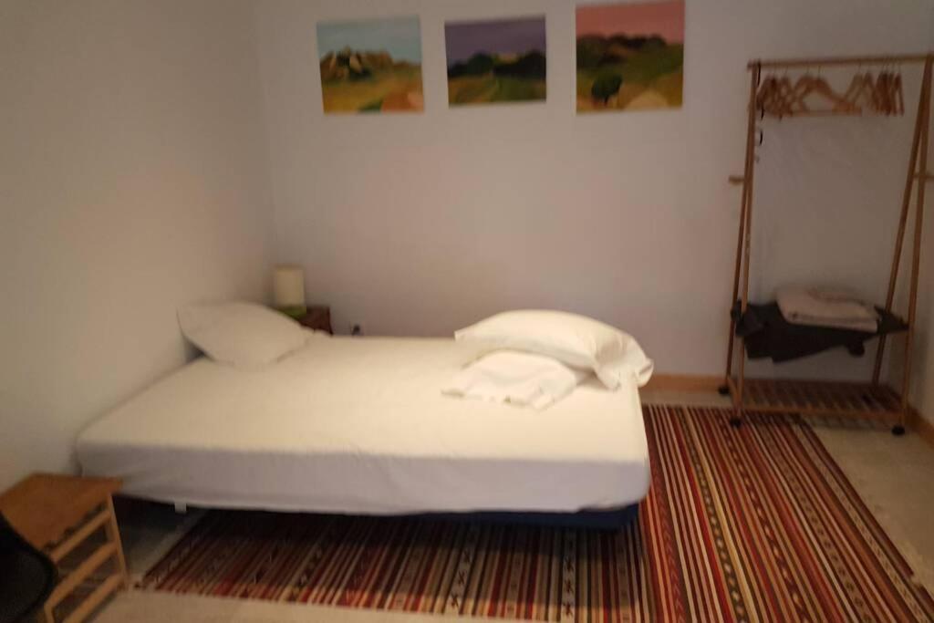 Maison Marijke Garden studio Céret Buitenkant foto